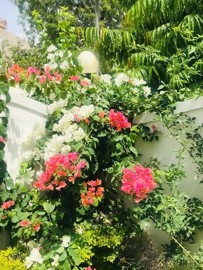 Royal Heritage Villa Udaipur Homestay